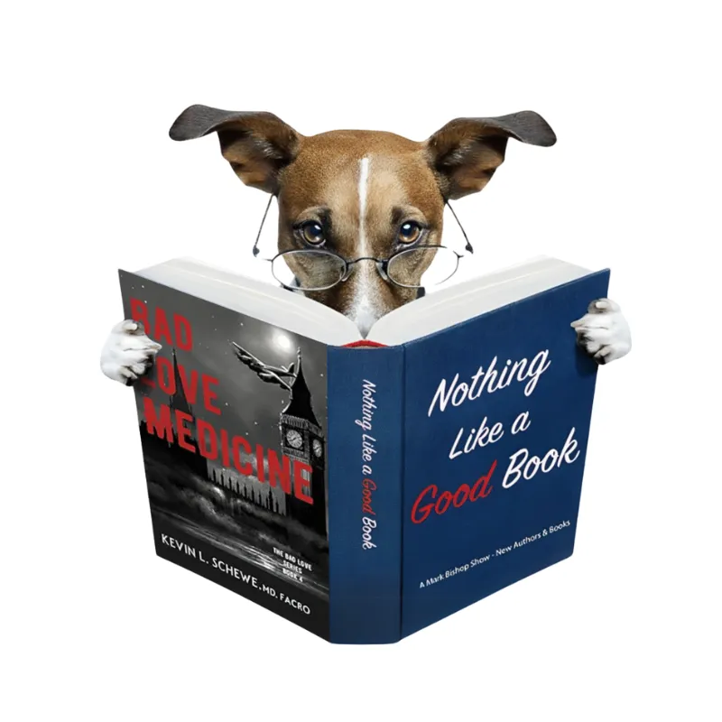 Author Kevin L Schewe Bad Love Book Series