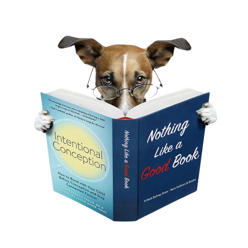 Author Jorge Cassir Intentional Conception