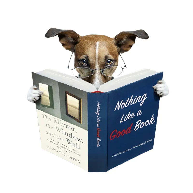 Kenny G Down The Mirror the Window and the Wall