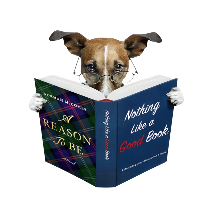 Norman McCombs Author of A Reason To Be