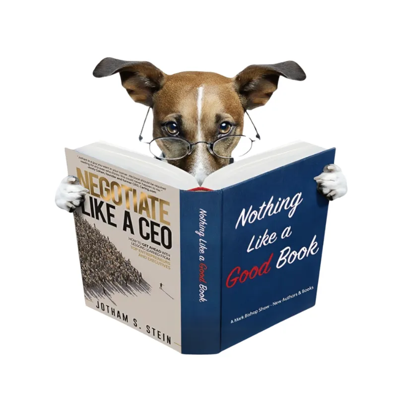 Jotham Stein Author of Negotiate Like a CEO