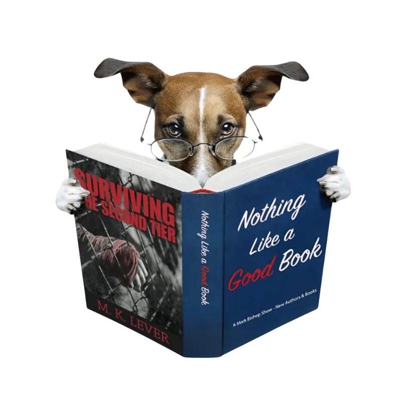 M K Lever Surviving The Second Tier