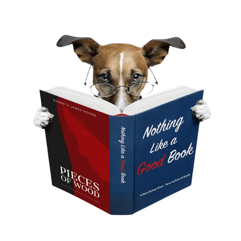 Author Ken Moore Pieces of Wood