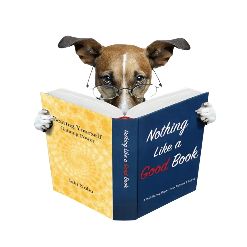 Besting Yourself Gaining Power Author Ishi Nobu