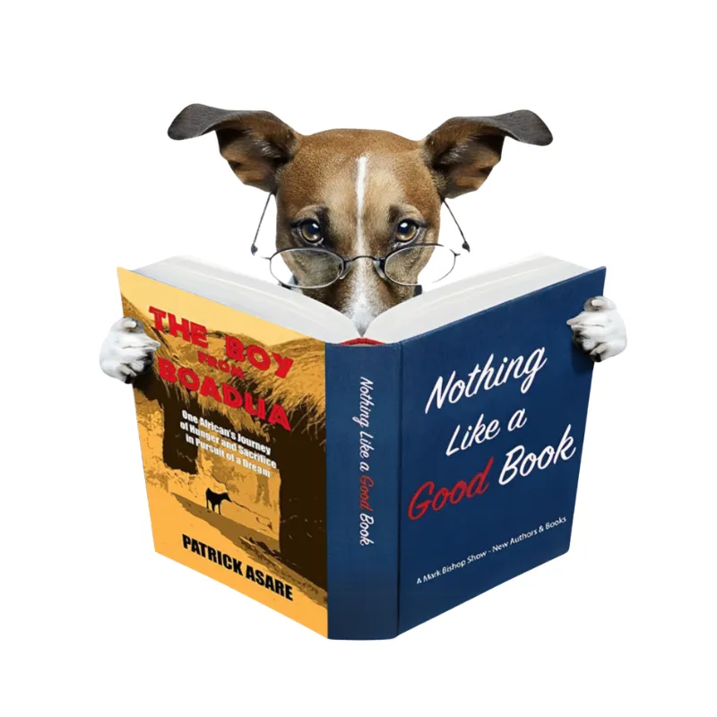 Author Patrick Asare