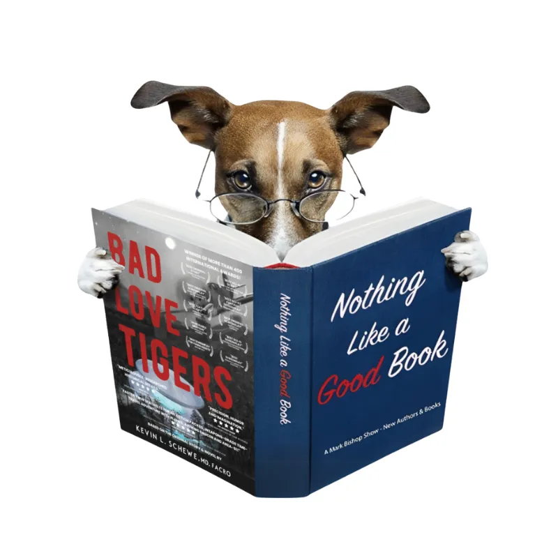 Kevin L. Schewe – Author of “Bad Love Tigers”