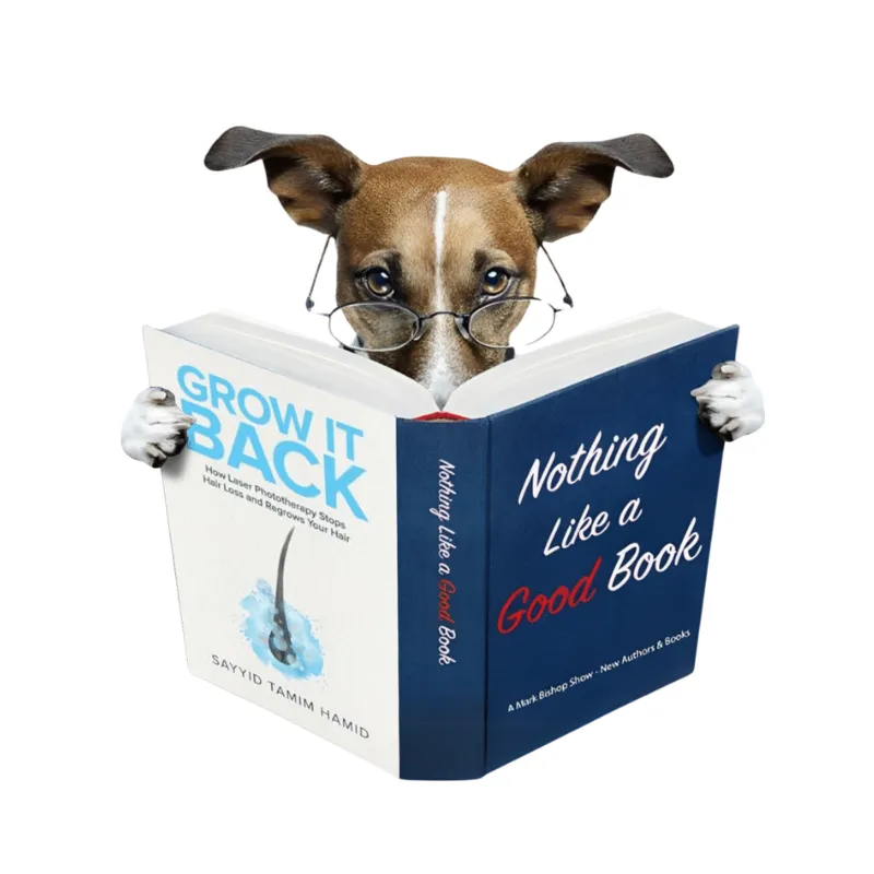 Tamim Hamid PhD – NASA Scientist