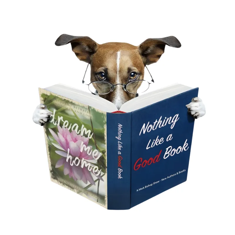 Laurie Elizabeth Murphy – Seasoned Author