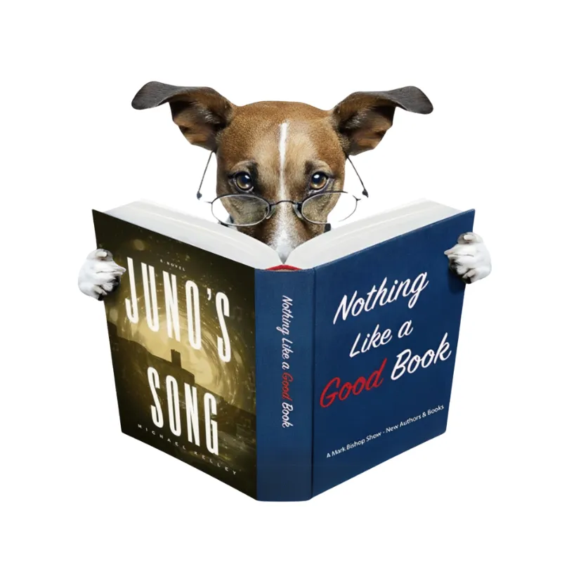 Michael Kelly – Author