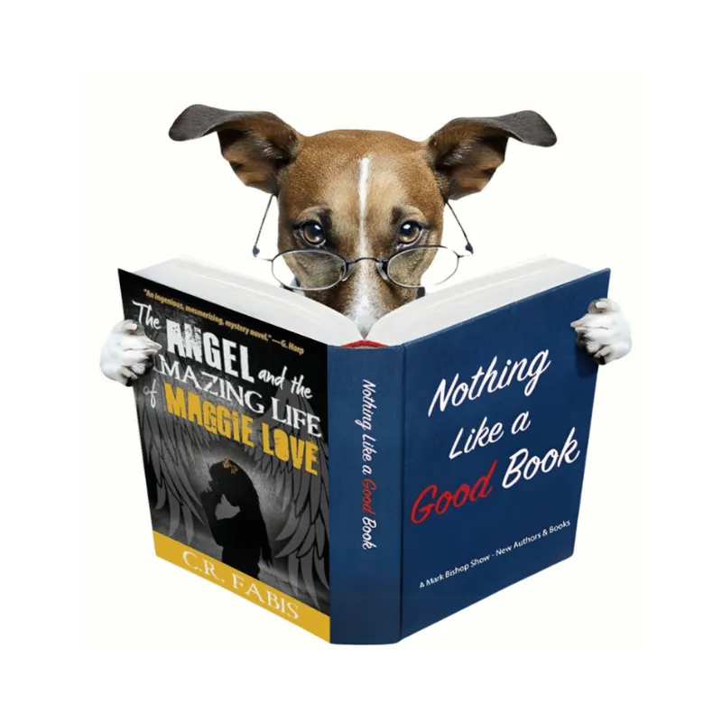 Author – Cal R. Fabis, “The Angel and the Amazing Life of Maggie Love”