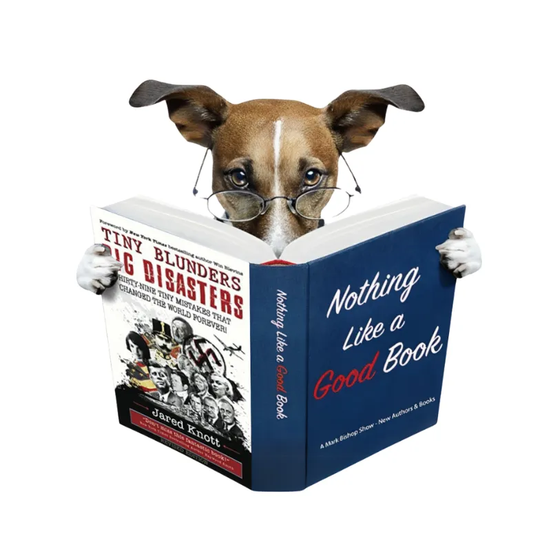 Jared Knott Tiny Blunders Big Disasters