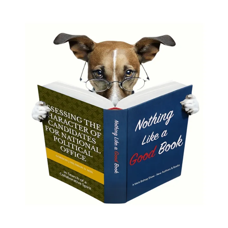 Gordan J Hilsman – Author of “Assessing the Character of Candidates for National Political Office