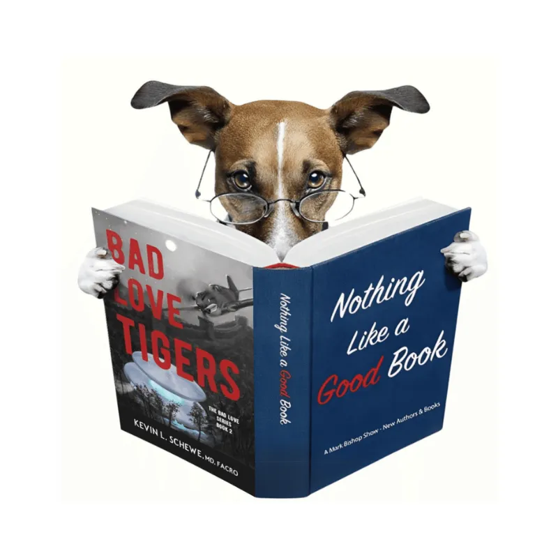 Kevin Schewe – Author of “Bad Love Tigers”