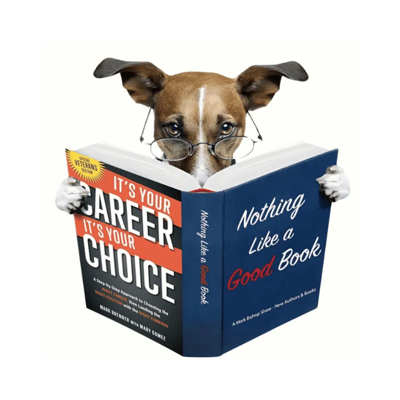 Mark Brenner – Founder and CEO, Brenner Career Management, Inc., and Veterans Career Xchange, Inc.