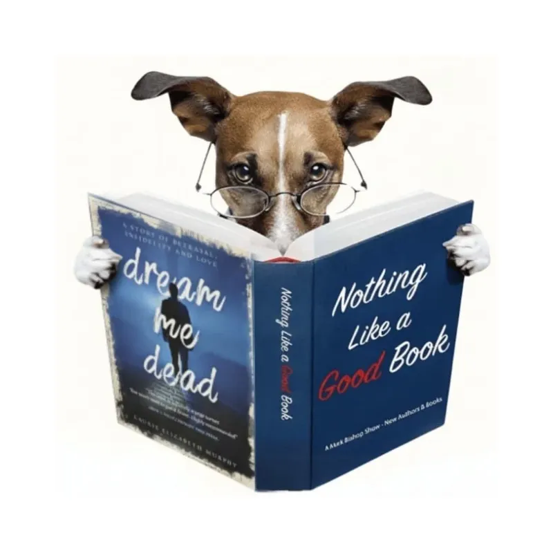 Laurie Elizabeth Murphy – Author, releases the thrilling book “Dream me Dead”