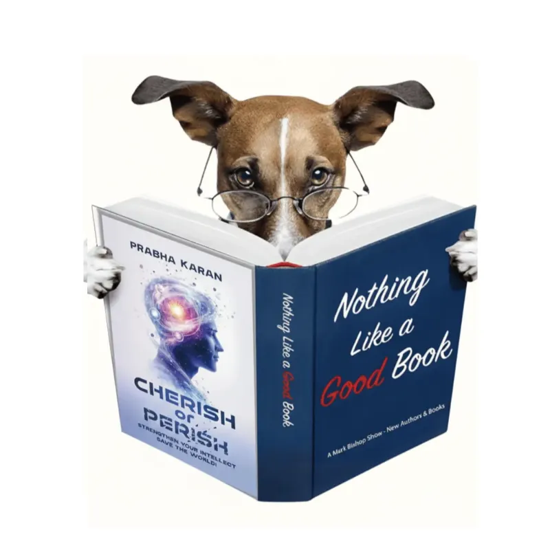 Prabha Karan – Distinguished Meta-Physicist, Engineer, Entrepreneur and Author