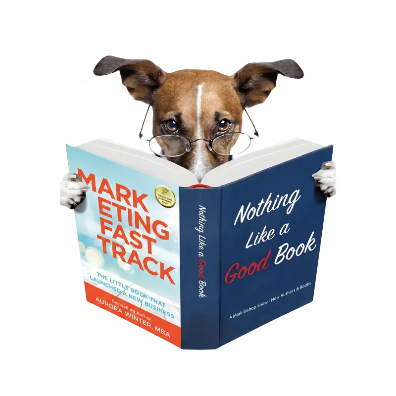 NLGB E117: Aurora Winter an Author, discussing her newest book “Turn Words into Wealth”