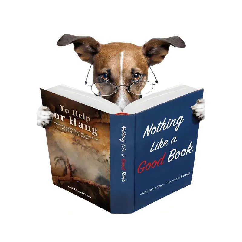 NLGB E121: Mark Edward Cowan – Author of “To Help or Hang”