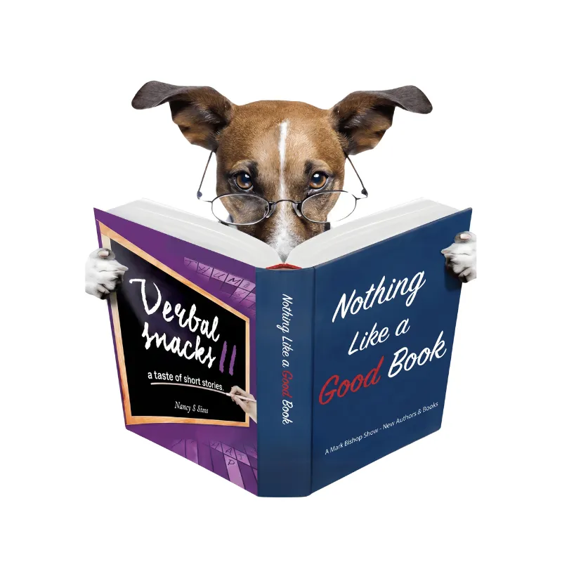 NLGB E113: Nancy Sims – Author of Verbal Snacks, Verbal Snacks II, and a collaborative novel titled Detours